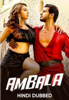 Ambala 2015 7267 poster.jpg