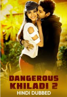 Dangerous khiladi 2 2013 7310 poster.jpg