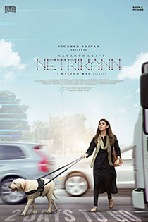 Netrikann 2021 9283 poster.jpg