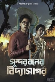 Sundarban ka vidyasagar 2022 hoichoi web series 12465 poster.jpg