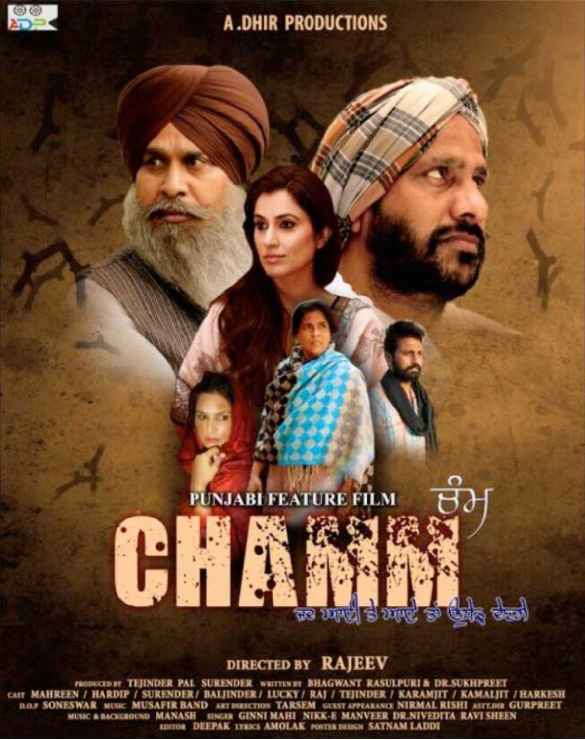 Chamm 2017 18373 poster.jpg