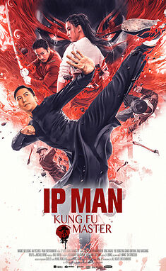 Ip man kung fu master 2019 hindi dubbed 20305 poster.jpg