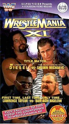 Wwe wrestlemania 11 1995 ppv 23453 poster.jpg