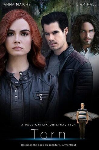 Torn a wicked trilogy 2022 english hd 27885 poster.jpg